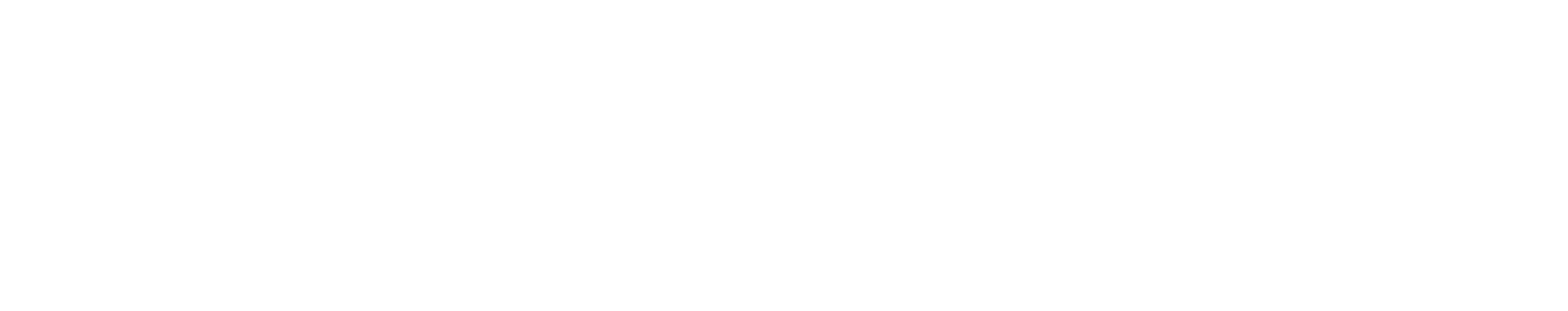 2024_Al Ponte_Logo_Dacia_white